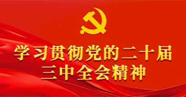 二十屆三中全會